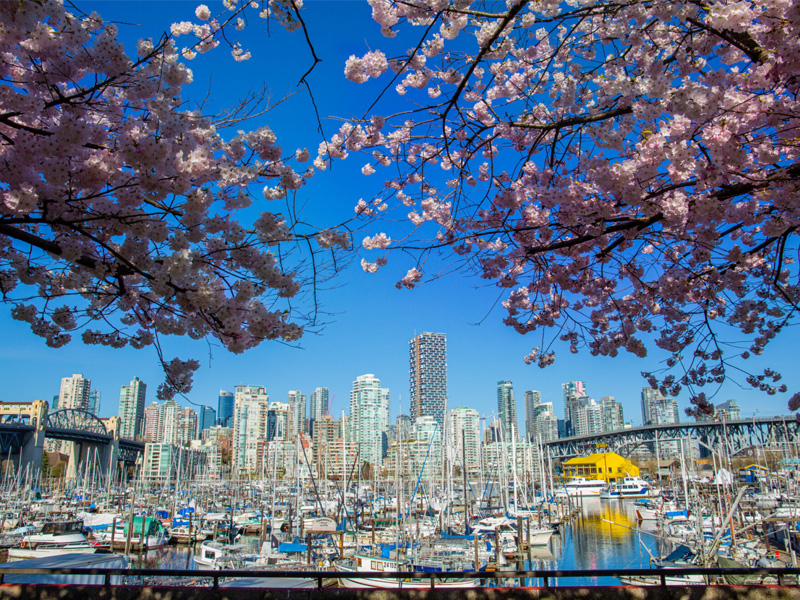 Discover Vancouver Tour, Highlights & Hidden Gems