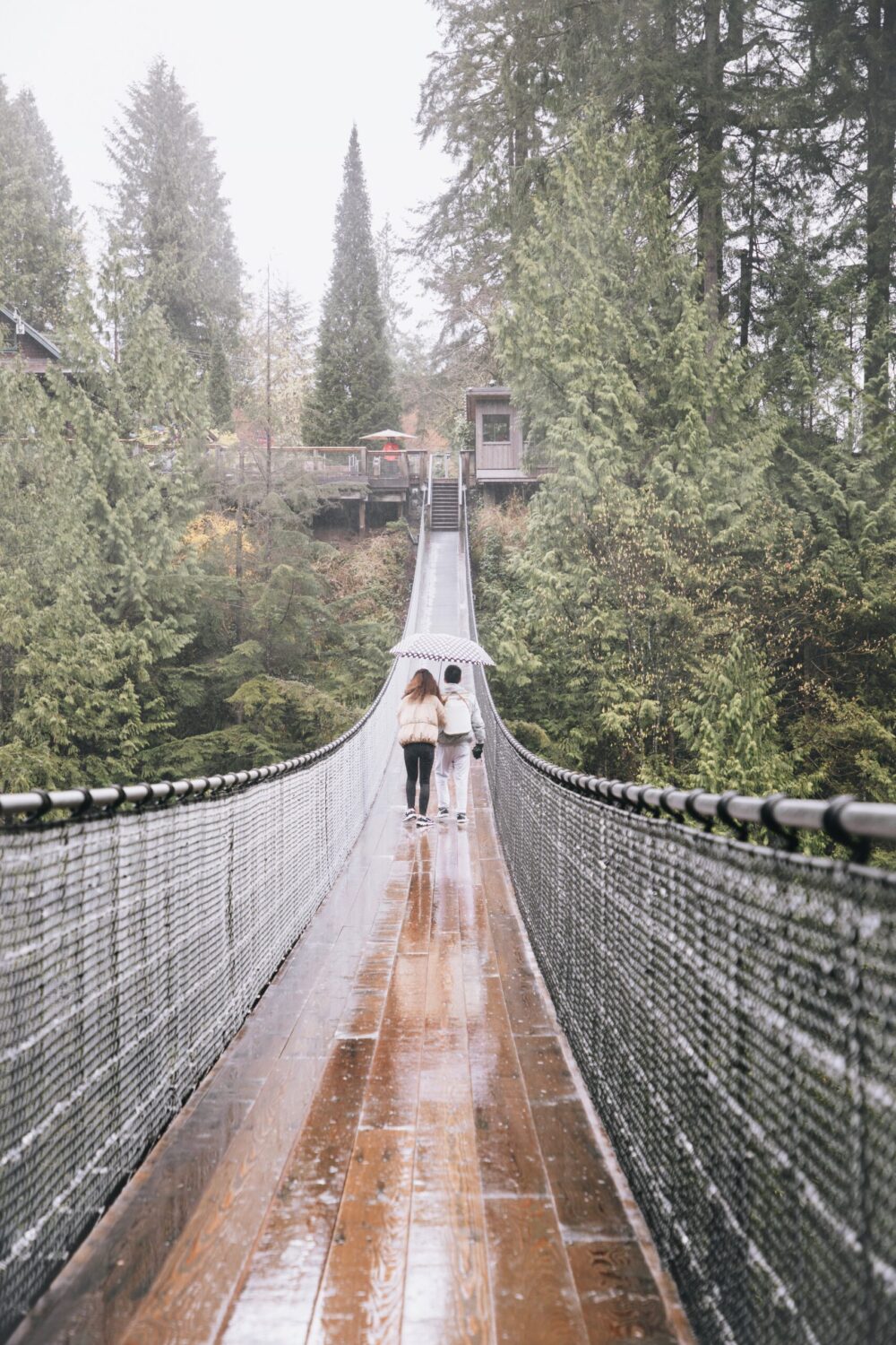 https://discovervancouvertours.com/wp-content/uploads/2022/07/noelle-2UsrIbuag6A-unsplash-scaled-e1659050254996.jpg