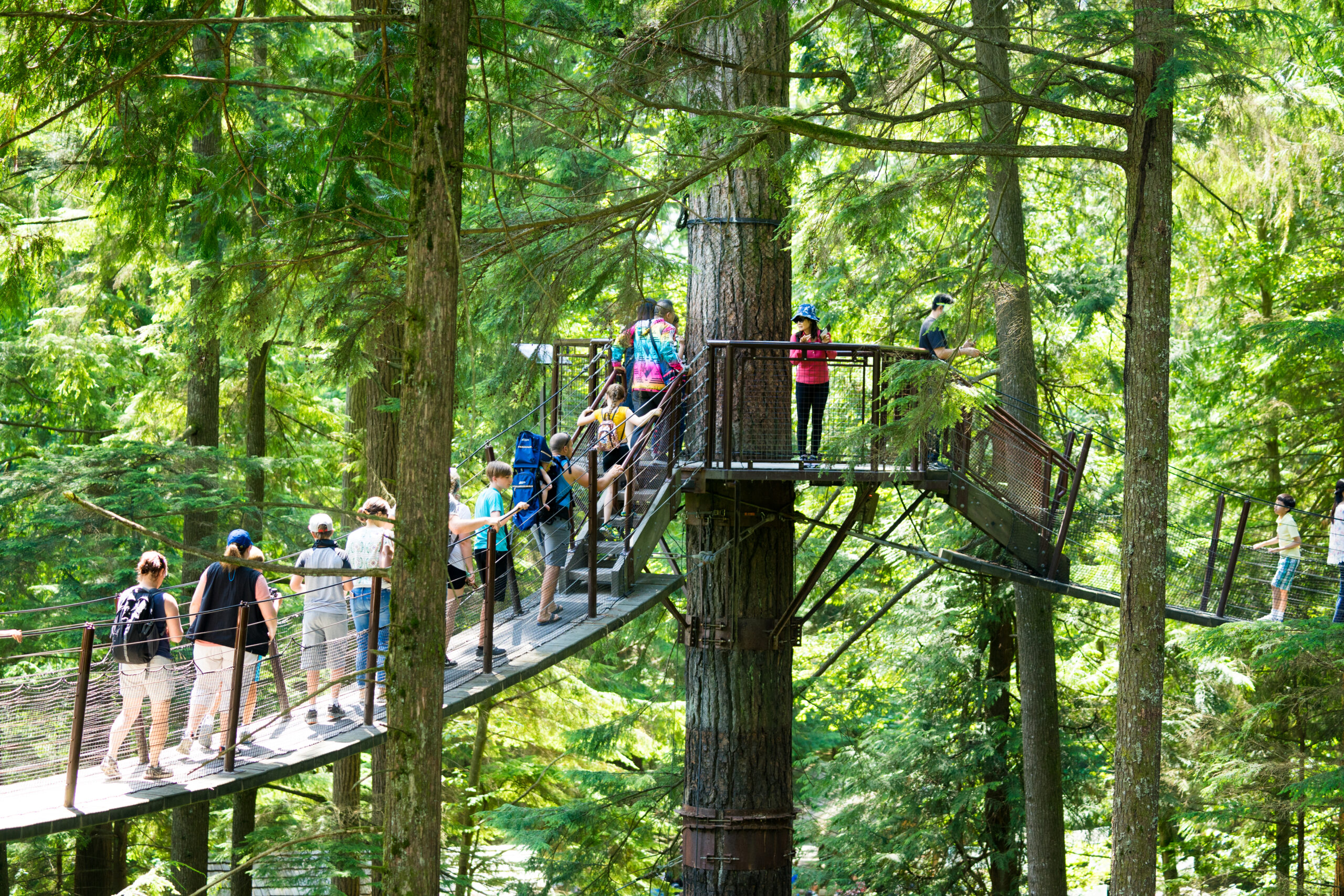 https://discovervancouvertours.com/wp-content/uploads/2022/07/©LisanneSmeele-CapilanoSuspensionBridge-4-scaled.jpg