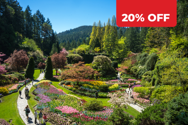 https://discovervancouvertours.com/wp-content/uploads/2022/08/DVT-Product-Card-20OFF-600x400-Victoria-600x400.png