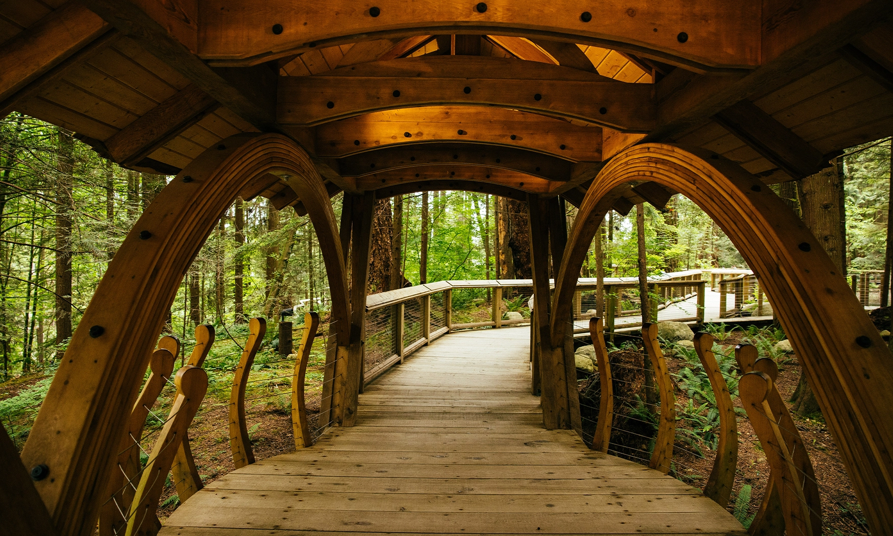 https://discovervancouvertours.com/wp-content/uploads/2025/04/LivingForest-Gallery-05.jpg.webp