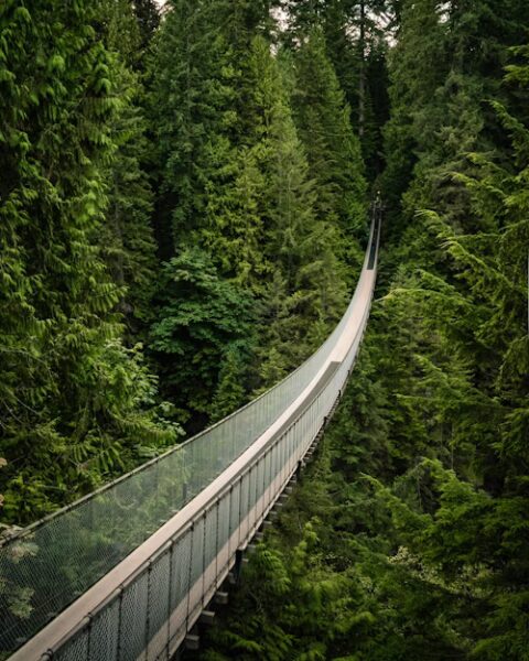 https://discovervancouvertours.com/wp-content/uploads/2025/04/photo-1515022614687-234cd10406dd-480x600.jpg