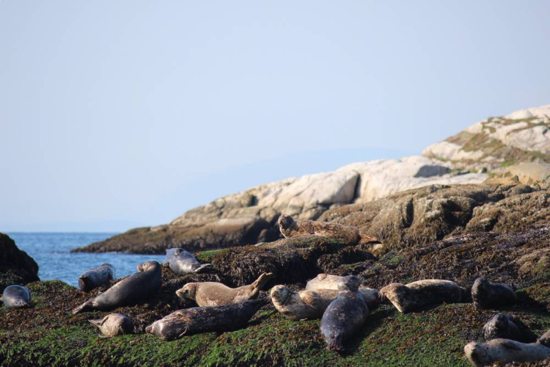 https://discovervancouvertours.com/wp-content/uploads/2025/04/©Vancouverwateradventures-Biosphere-4.jpg