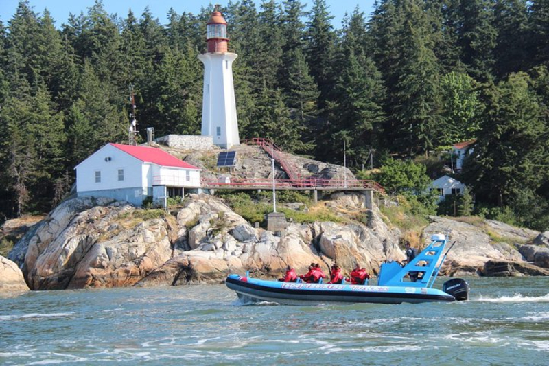 https://discovervancouvertours.com/wp-content/uploads/2025/04/©Vancouverwateradventures_CitySealsBoat-2.jpg
