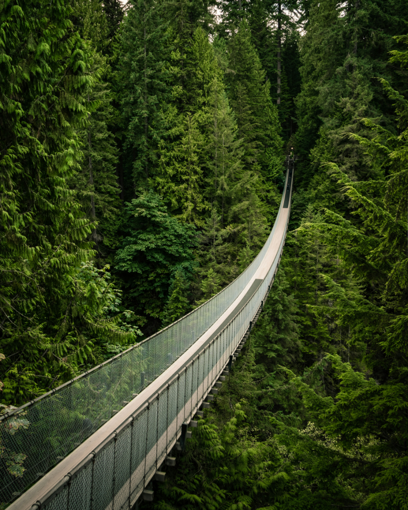 https://discovervancouvertours.com/wp-content/uploads/2025/04/©unsplash-cayetano-gil-2-.jpg