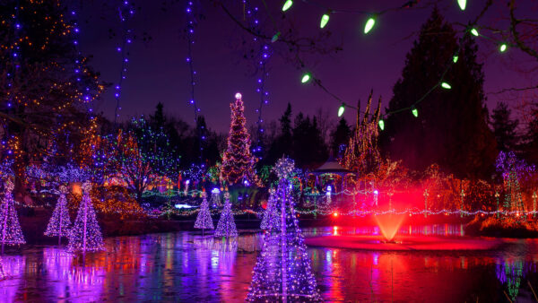 https://discovervancouvertours.com/wp-content/uploads/2025/07/©DestinationVancouver-VanDusenGardens-Discover-Vancouver-VanDusen-Lights-Header-2000x1125-1-600x338.jpg